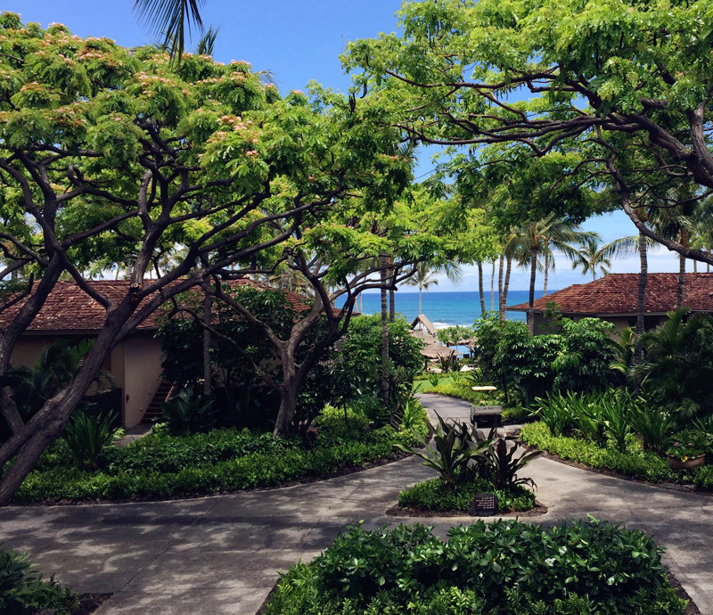 ../Images/LIAO,SHU-CHEN.Four Seasons Resort Hualalai (5).jpg